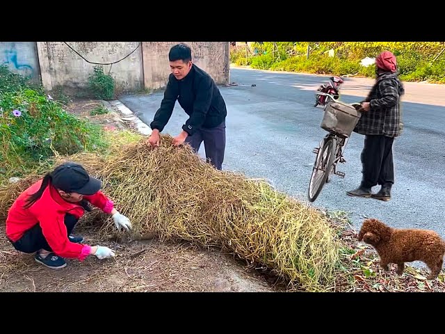 Full video of my massive Sidewalk Cleanup alone in 3 days!!!