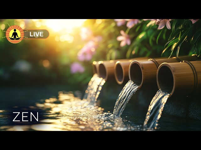 🔴 Relaxing Zen Music with Nature Sounds 24/7 🤲2783 - Peaceful Spa Ambience, Study, Sleep Meditation