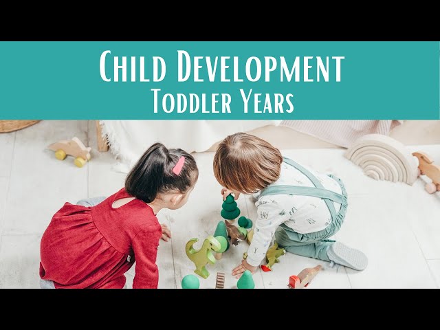 Is this normal? A Revealing Look at Toddler Development