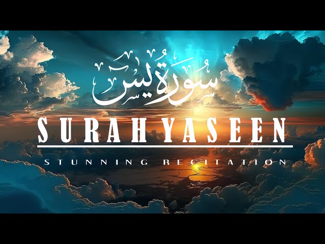 Surah Yaseen | Beautiful Quran Recitation Surah | No Copyright - Free Surah Yaseen | Tilawat|سورت یس