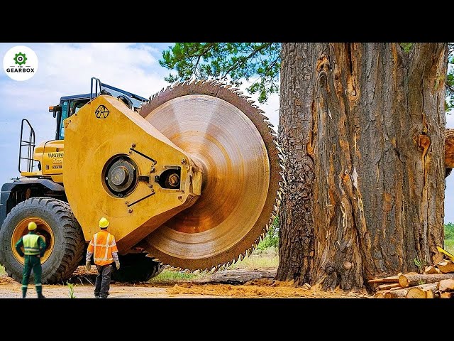 55 Extreme Dangerous Fastest Big Chainsaw Cutting Tree Machines | Agriculture Technology