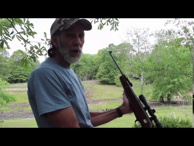 BEST Predator Control Gun --Beeman Air Rifle