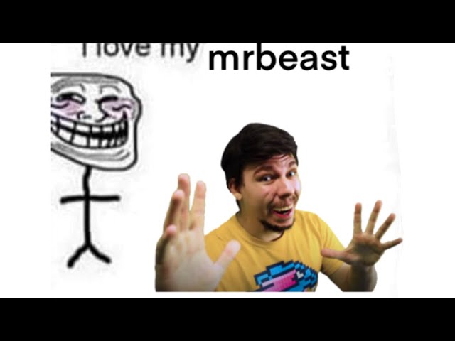 I love my MRBEAST!