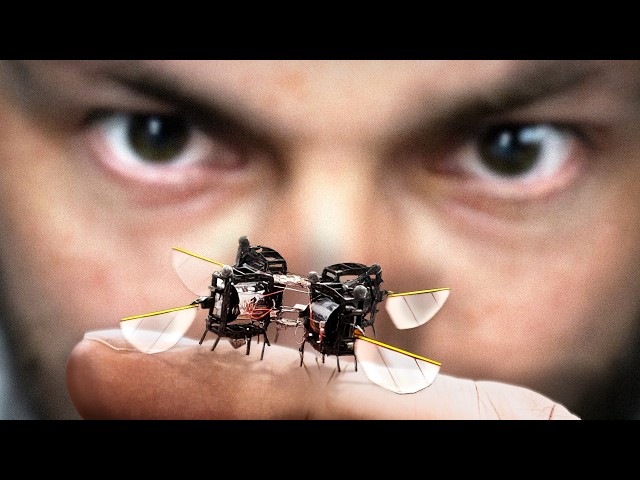 Why Are Scientists Making Robot Insects?