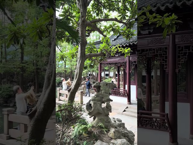 Shanghai Yu Garden 2024 | Travel Guide