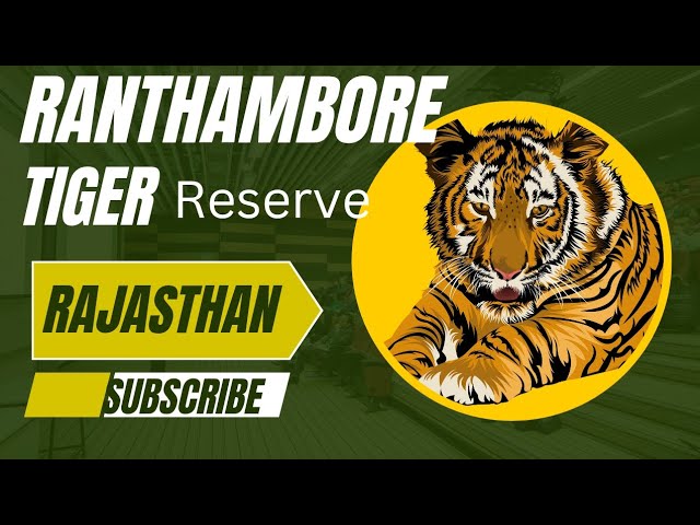 NATIONAL TIGER RESERVES ,  ( RAJSTHAN ) RANTHAMBORE NATIONAL PARK #tiger #TIGER