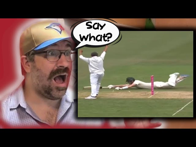 Newfoundlander Reacts To 20 Best Direct Hits In Cricket Ever