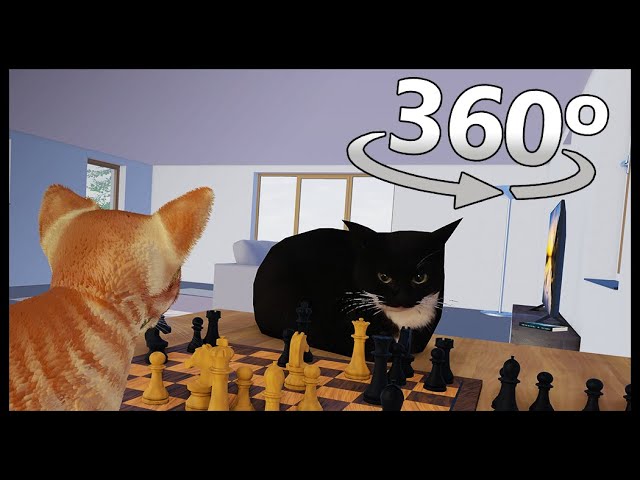 Chess With Maxwell The Cat in 360° VR/4K