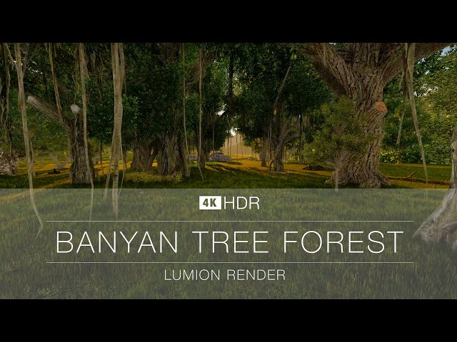 4K | Cinematic Shots | Forest | Banyan trees | Meditation Music | Lumion  | Relaxing Video