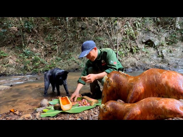 Phần Cuối -Bất Ngờ Tảng Đá Bị Sập , Trúng Đậm Thịt Rừng , Tìm Thấy Đường Trở Về - Hieu TV