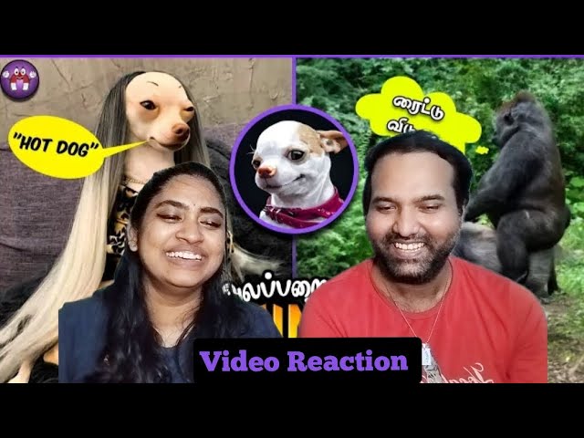 கோளாறான Animal Sambavagal😂😁🤣😄| Magnet Family 2.0 Video Reaction | Tamil Couple Reaction