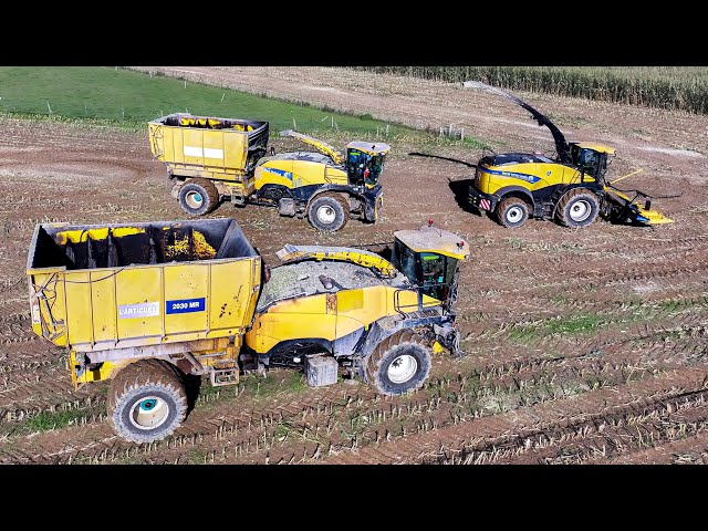 XXL ENSILAGE 2024 | UNIQUE IN THE WORLD | DIFFICULT CONDITIONS