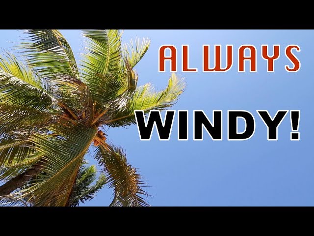 Why is it Windy at the Beach?