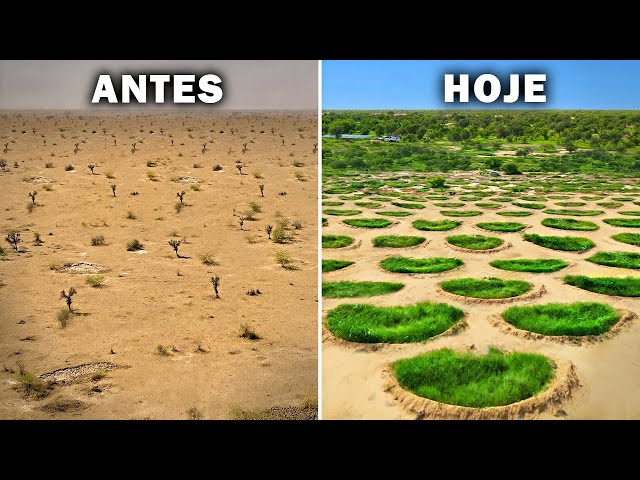 O DESERTO DO SAARA ESTÁ VIRANDO UMA FLORESTA COM ISSO