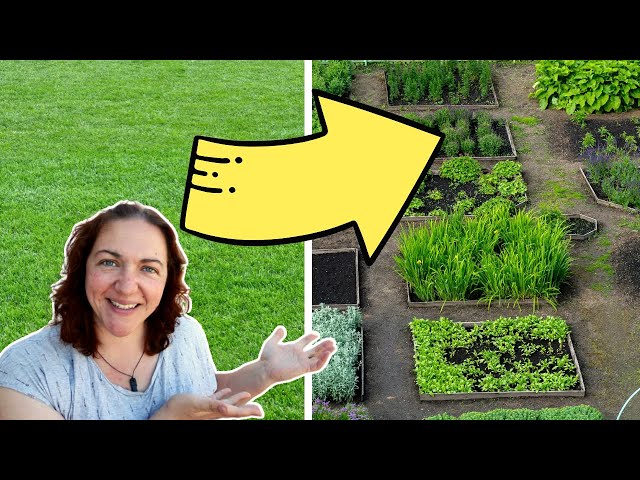 Turn LAWN into a GARDEN the easy way