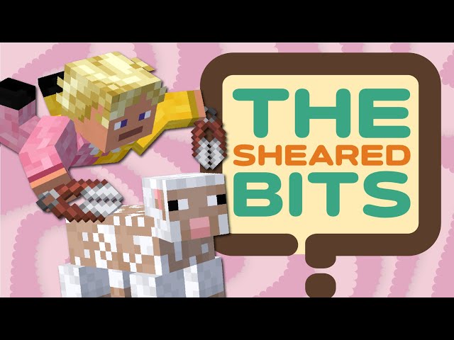 ✂️The Sheared Bits!!! Is That Sheep Looking At Me? Hermitcraft Gameshow Outtakes!!!