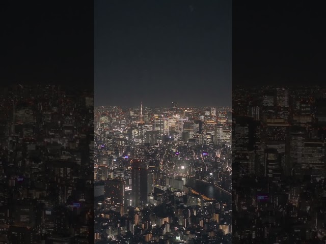 Tokyo Skytree Night View  #japan