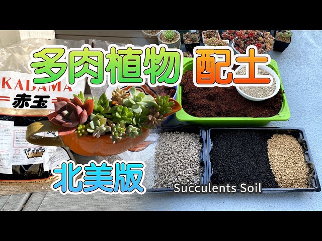 多肉植物种植用土方案 | 最适合北美地区的多肉配土 | 多肉常用颗粒土中英文名称对照