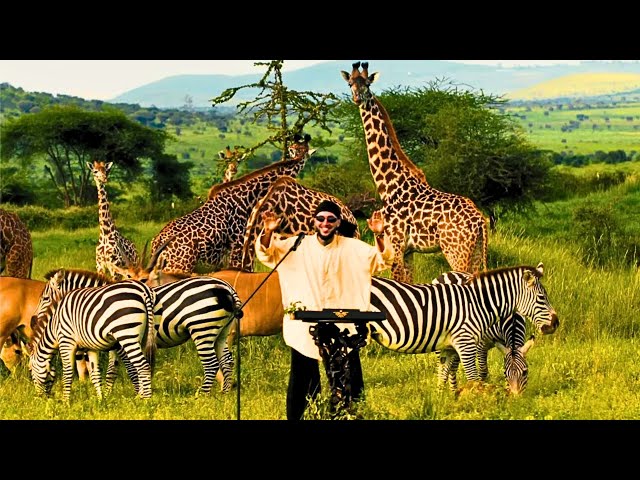 RAJA - Animal (AFRICAN SAFARI DJ Live Set) for Cafe De Anatolia