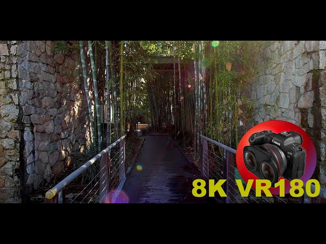 8K VR180 WATER FEATURES at Roma Street Gardens...tranquility, fountains 3D (Travel/ASMR/Music)