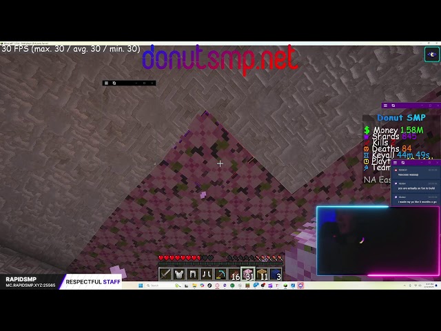 Donut SMP Cherry Blossom Trees