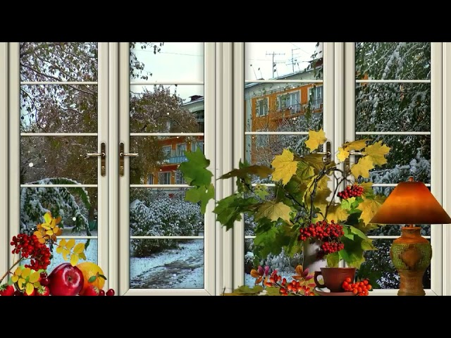 Cold winter music and snowfall, a view from behind the window panes