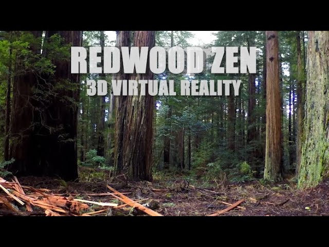 REDWOOD ZEN 3D (VR180)