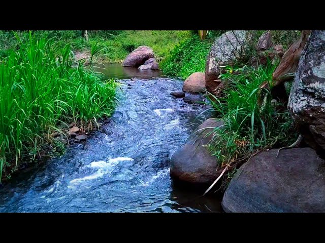 RIVER STREAM WHITE NOISE FOR SLEEPING