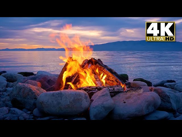 Live: Lakefront Campfire at Sunset | Crackling Fire, Water & Crickets in 4K for Sleep & Relaxation