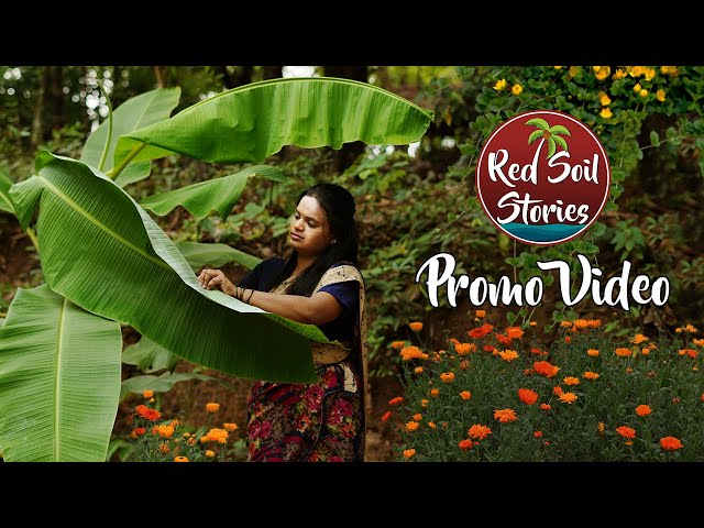 Village Life in Maharashtra | Red Soil Stories | Village Food | Village Cooking | Promo Video