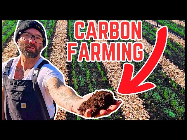 HOW I GOT PAID $30,000 TO GROW COVER CROPS (ON MY BACKYARD FARM)