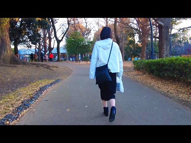 [4K]🇯🇵 Tokyo Walk - Ueno Park in Winter - Jan. 2025