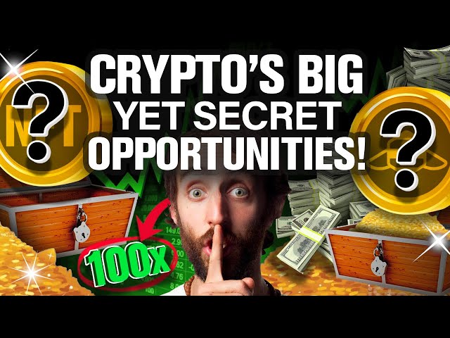 The BIGGEST Yet UNKNOWN Opportunity in Crypto (Max Gains!)