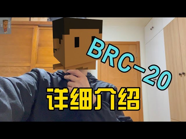 Bitcoin链上的币，BRC-20详细介绍