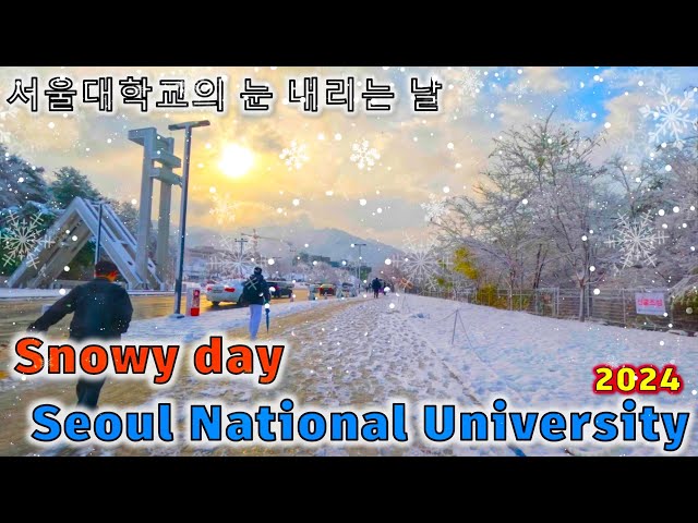 Snowy day at Seoul National University, Korea travel 4khdr