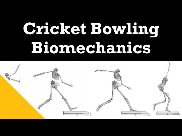 Cricket Bowling Biomechanics | Dr Paul Felton