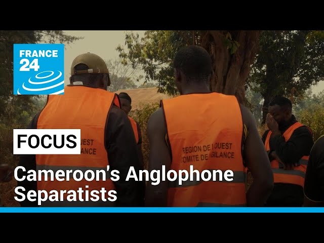 Cameroon's Anglophone crisis: Separatists threaten French-speaking regions • FRANCE 24 English