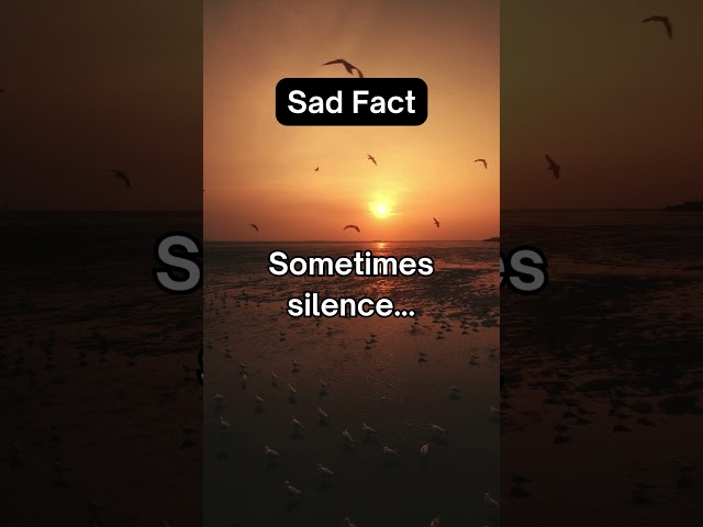 Everyday Life Lessons| BrainTickle Bytes | Subscribe now! | #emotional #facts #lifelessonsqotes