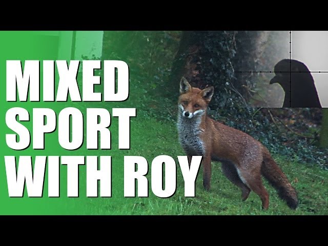 Fieldsports Britain - Mixed sport with Roy Lupton