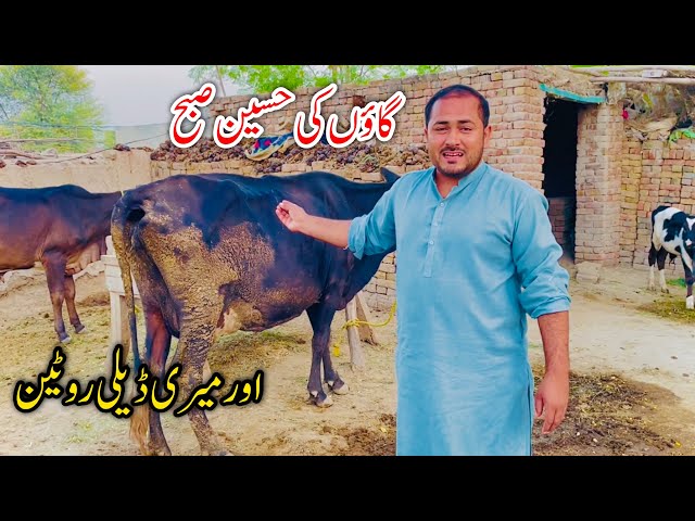 My Morning Routine I Pakistan village life I Summer Morning | Punjab Village Culture