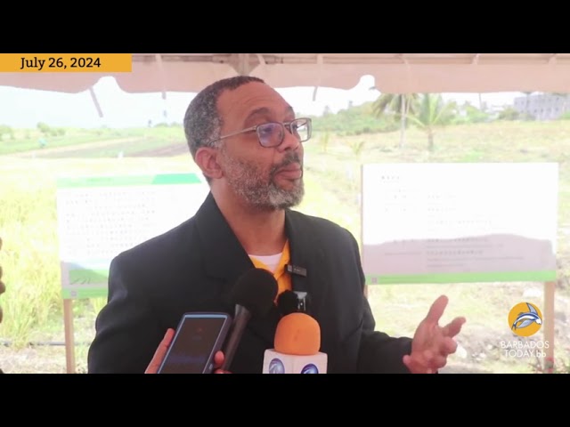 Upland Rice project bodes well for Barbados, says BADMC chief