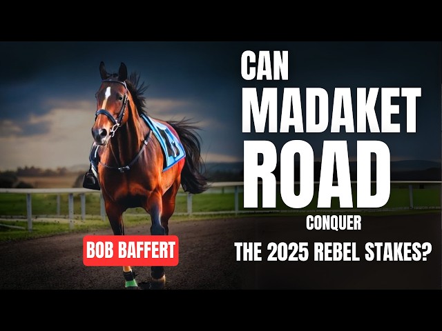 Madaket Road 2025 Rebel Stakes G2 in Oaklawn | Can He Conquer the Competition?