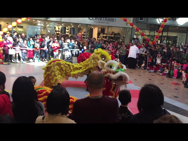 Great Mall of Milpitas Chinese New Year January 2017