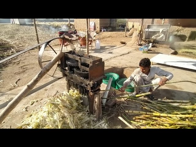 Most Beautifull Village Life in Punjab]| Organic Jaggery Making Process|| village life #handmade