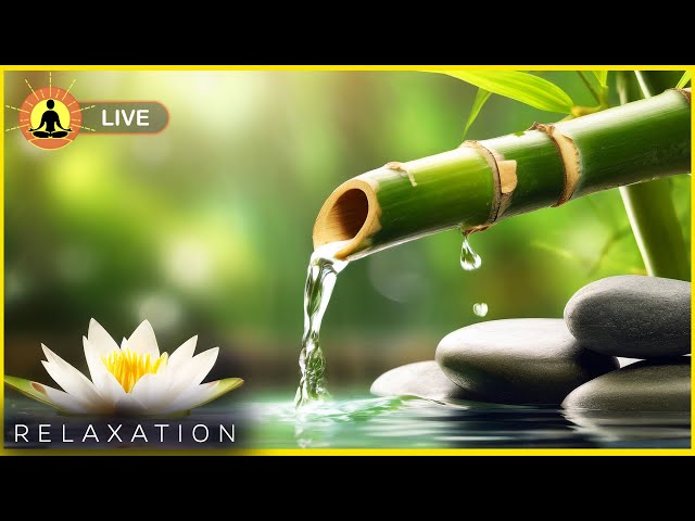 🔴 Relaxing Zen Music 24/7, Stress Relief Music, Sleep Music, Meditation Music, Study, Calming Music