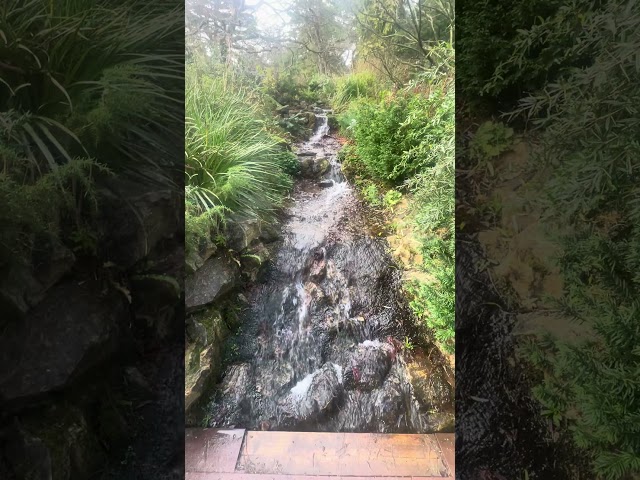 Relaxing water stream sounds in dublin botanic garden 🌿 #meditation #asmr #nature #watersounds