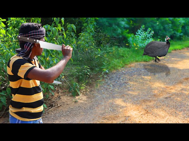 Flavorful Guinea Fowl Gravy | Guinea Recipe | Village Cooks