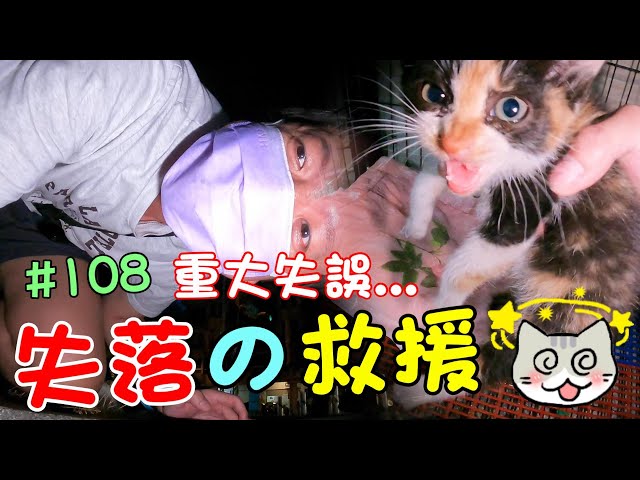 『失落的救援』發生了重大失誤... Cat Story #108