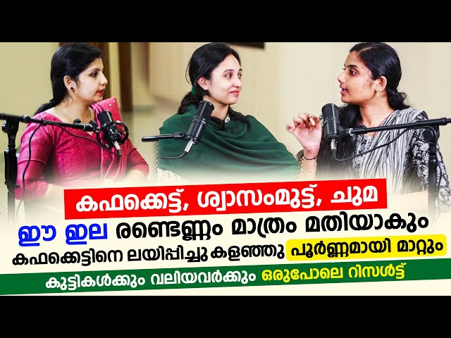 കഫക്കെട്ട്, ശ്വാസം മുട്ട്, ചുമ ഈ ഇല രണ്ടെണ്ണം മാത്രം മതി കഫക്കെട്ട് മാറാൻ