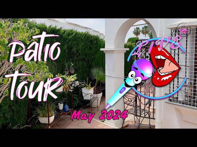 May 2024 Patio Tour GAWK WALK & TALK | Impromptu Shambles UPDATES as per REQUESTS #ninjaorchids